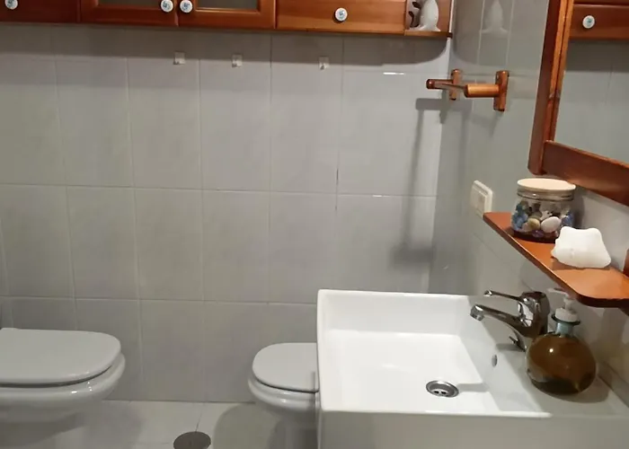 Marusia 비베이로